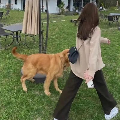 实习医生格蕾第十八季 海报